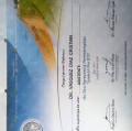 Acercar imagen: certificate 13