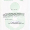 Acercar imagen: certificate 9