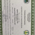 Acercar imagen: certificate 13