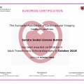 Acercar imagen: certificate 3