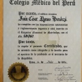 Acercar imagen: certificate 9