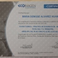 Acercar imagen: certificate 3