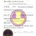 Acercar imagen: certificate 12