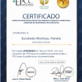 Acercar imagen: certificate 4