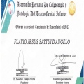 Acercar imagen: certificate 2