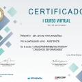Acercar imagen: certificate 11