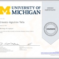 Acercar imagen: certificate 23