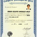 Acercar imagen: certificate 9