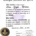 Acercar imagen: certificate 10