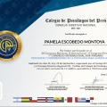 Acercar imagen: certificate 1