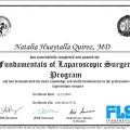 Acercar imagen: certificate 3