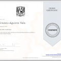 Acercar imagen: certificate 25
