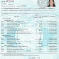 Acercar imagen: certificate 10