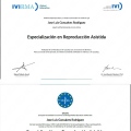 Acercar imagen: certificate 7