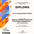Acercar imagen: certificate 6
