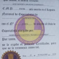 Acercar imagen: certificate 4