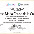 Acercar imagen: certificate 8