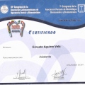 Acercar imagen: certificate 10