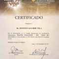 Acercar imagen: certificate 11