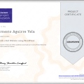 Acercar imagen: certificate 17