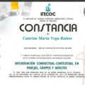 Acercar imagen: certificate 13