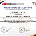 Acercar imagen: certificate 17