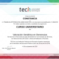 Acercar imagen: certificate 6