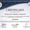 Acercar imagen: certificate 13