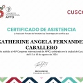 Acercar imagen: certificate 3