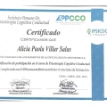 Acercar imagen: certificate 4