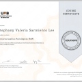 Acercar imagen: certificate 4