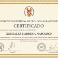 Acercar imagen: certificate 15