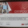 Acercar imagen: certificate 11