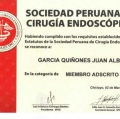 Acercar imagen: certificate 5