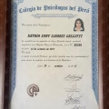 Acercar imagen: certificate 4