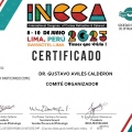 Acercar imagen: certificate 6