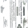 Acercar imagen: certificate 9