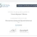 Acercar imagen: certificate 5