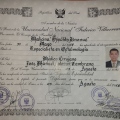 Acercar imagen: certificate 3