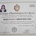 Acercar imagen: certificate 15