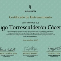 Acercar imagen: certificate 4