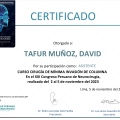 Acercar imagen: certificate 8