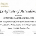 Acercar imagen: certificate 9