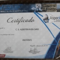 Acercar imagen: certificate 7