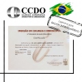Acercar imagen: certificate 9
