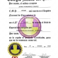 Acercar imagen: certificate 3
