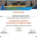 Acercar imagen: certificate 6