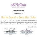 Acercar imagen: certificate 4