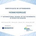 Acercar imagen: certificate 2