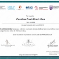 Acercar imagen: certificate 4